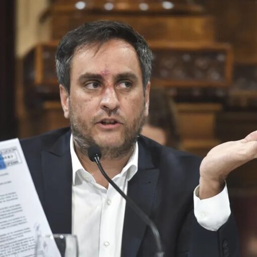 [MEDIOAMBIENTE] El Ministro Juan Cabandie apuntó contra los responsables por los incendios en Rosario: “Van a sufrir las consecuencias. Conf...