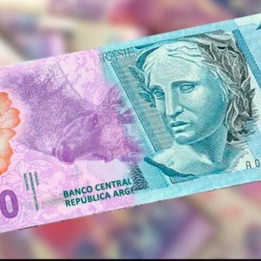 [SINCRONIZADOS]  Cómo será la moneda única argentino-brasilera qué permitirá que en un futuro los dos países se hundan en el mismo momento. ...